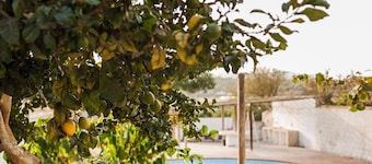 Casa de Piedra with magnificent 50 meter swimming pool.