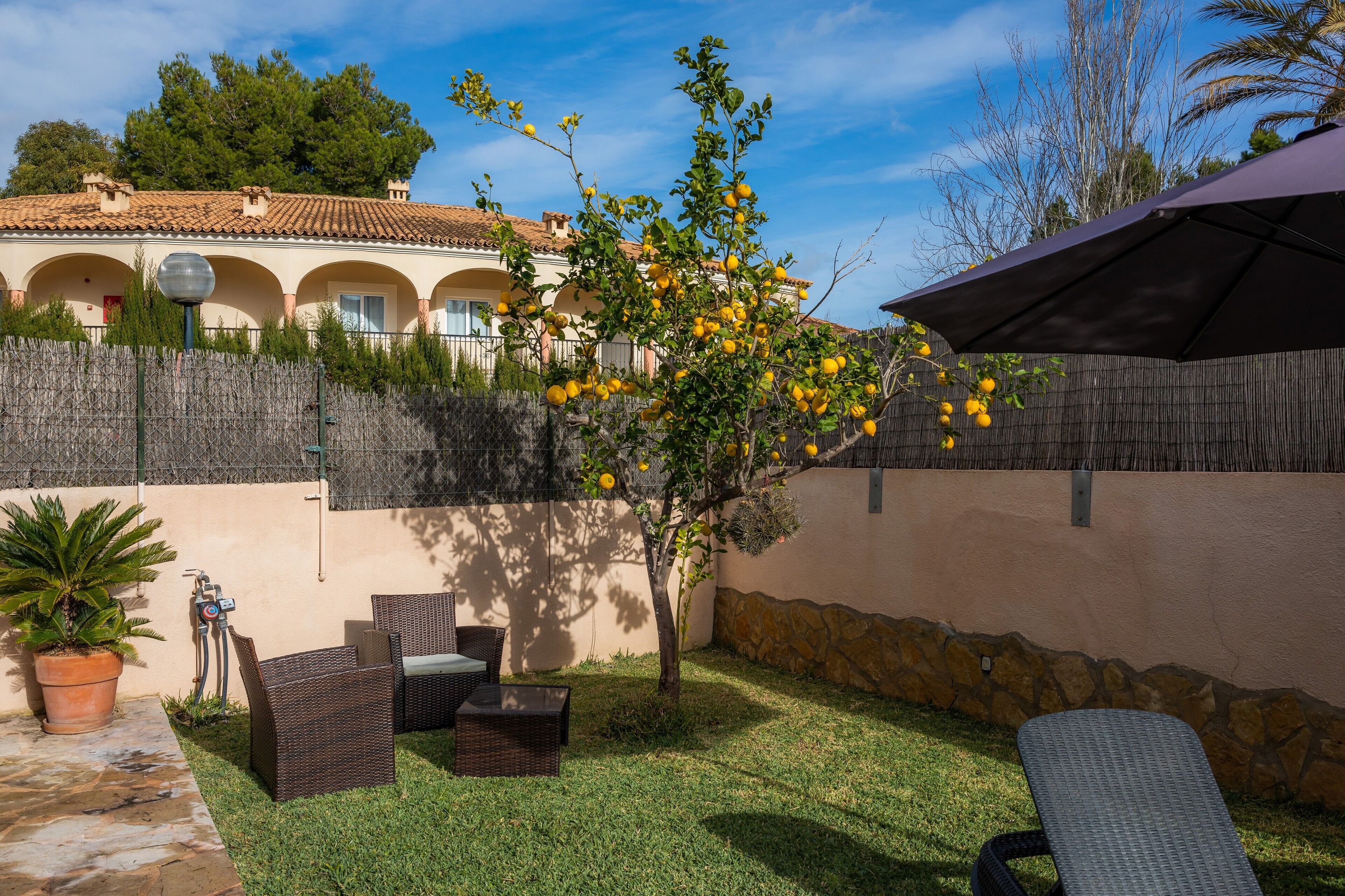 Un patio con mobiliario de mimbre, un árbol con flores amarillas y un muro de piedra.