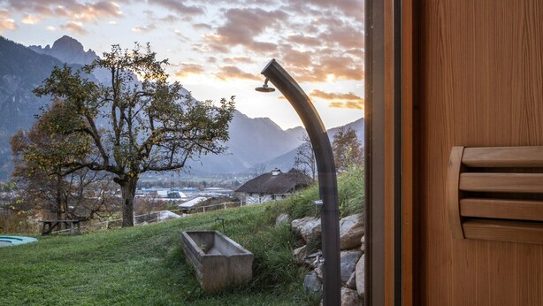 A wooden door with a view of a mountainous landscape and a tree.