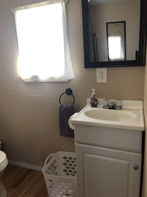 Bathroom features a sink, mirror, and window with a curtain.