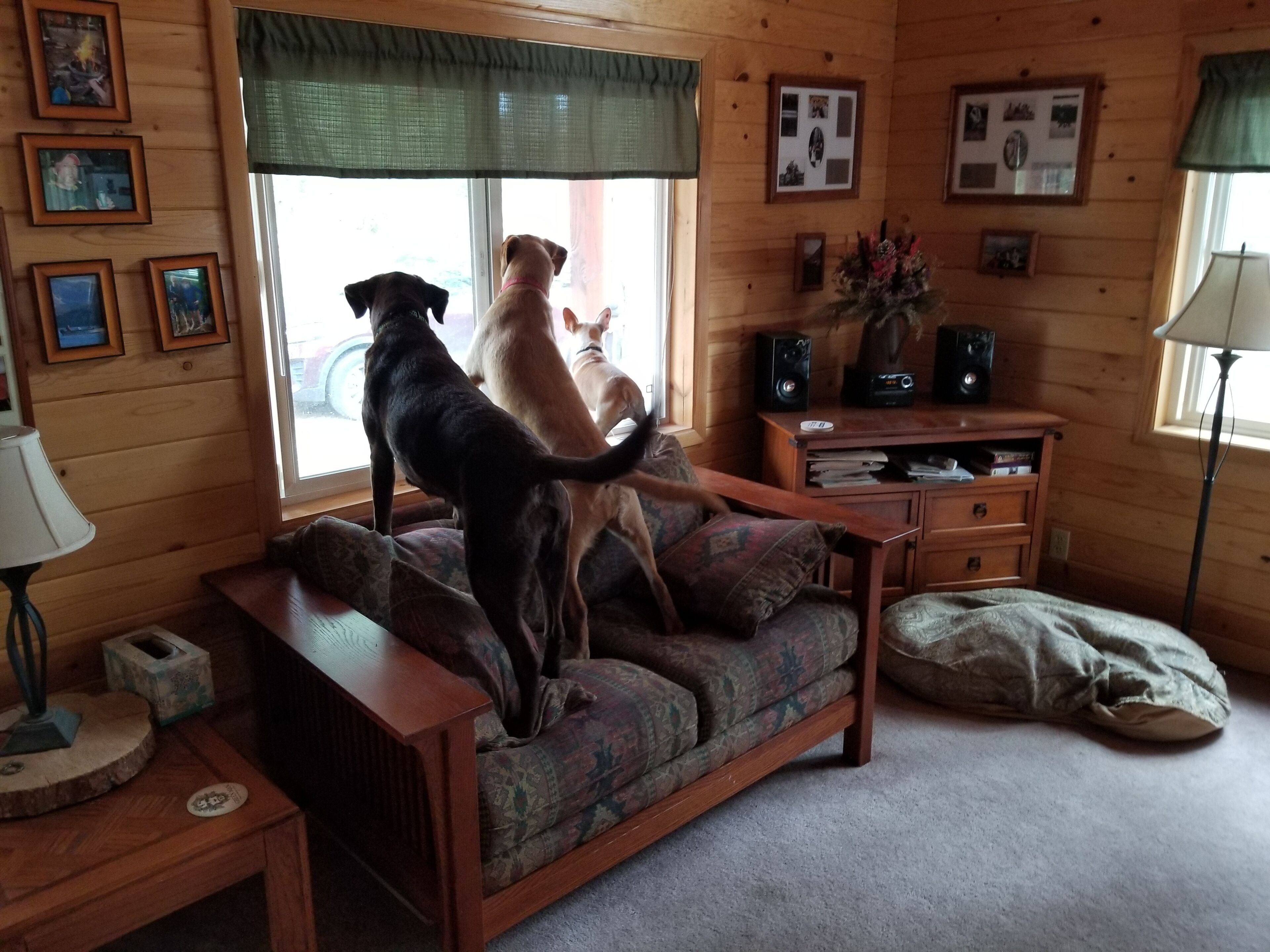 Executive Cabin In The Woods! - Oregon