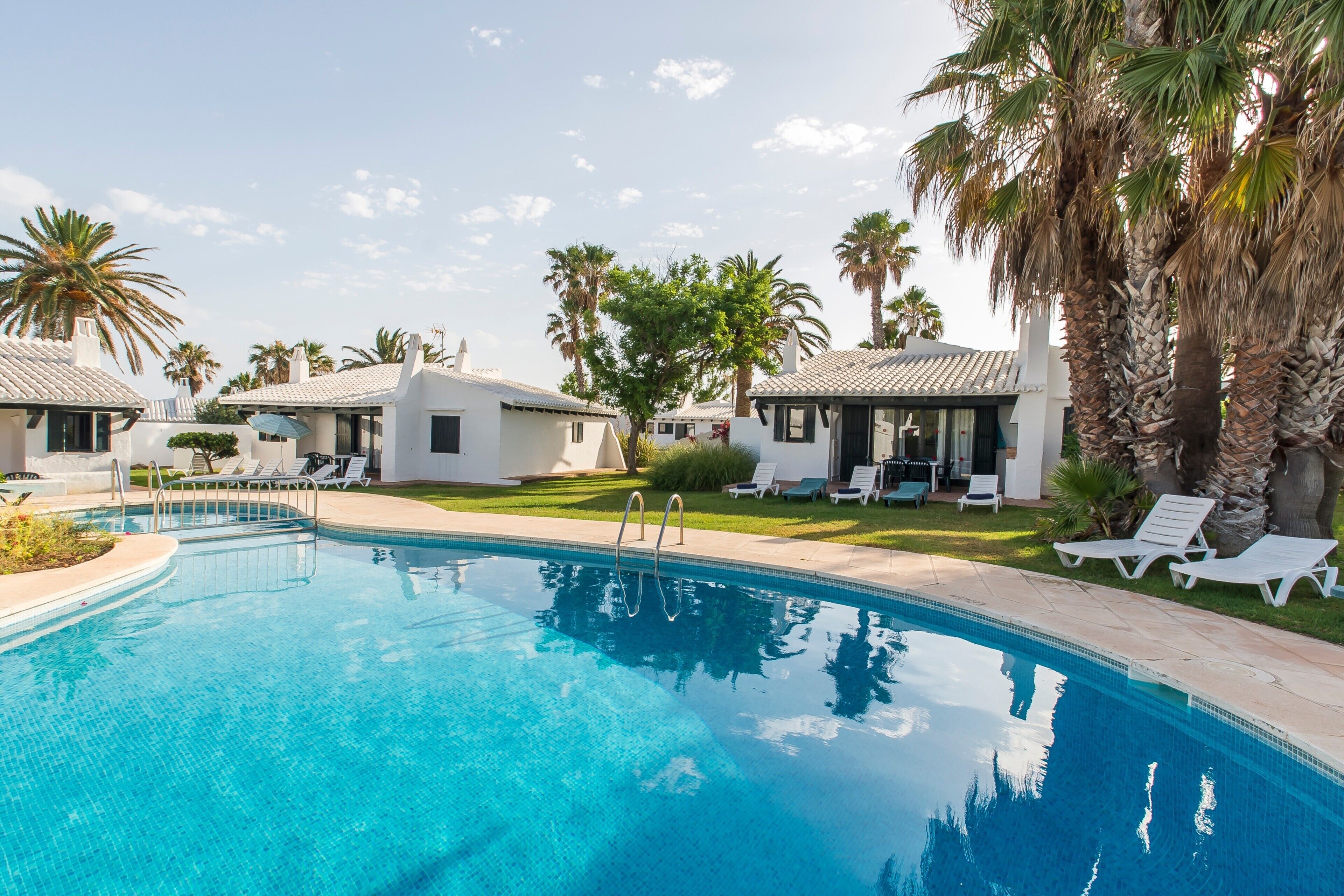 A swimming pool with lounge chairs and palm trees.