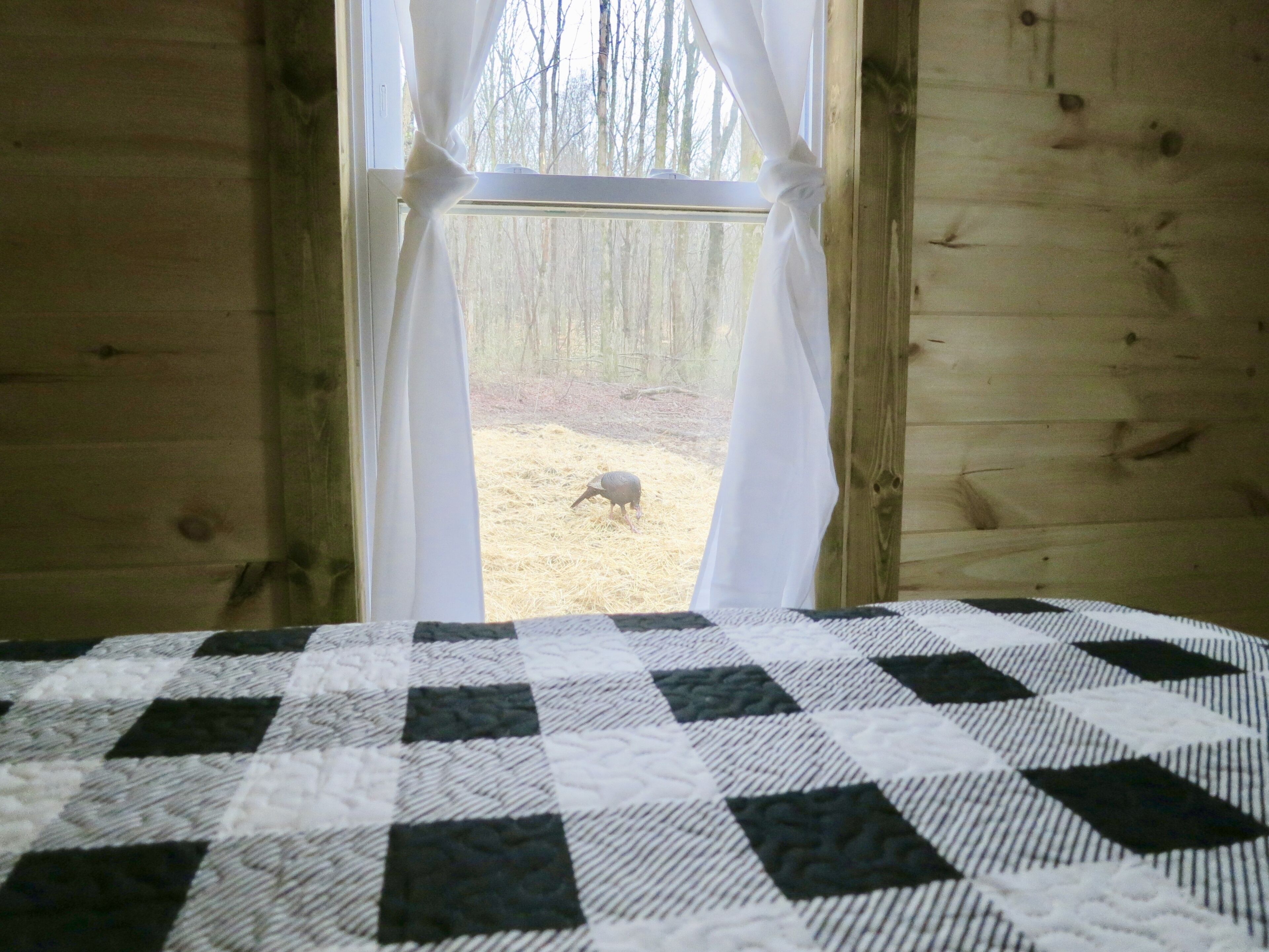 A room with a checkered bedspread, a window with curtains, and a view of a forested area outside.