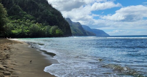 Kaua'i Island Paradise in Princeville Sleeps 6