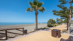 Een promenade aan het strand met een palmboom, houten banken en een prullenbak.