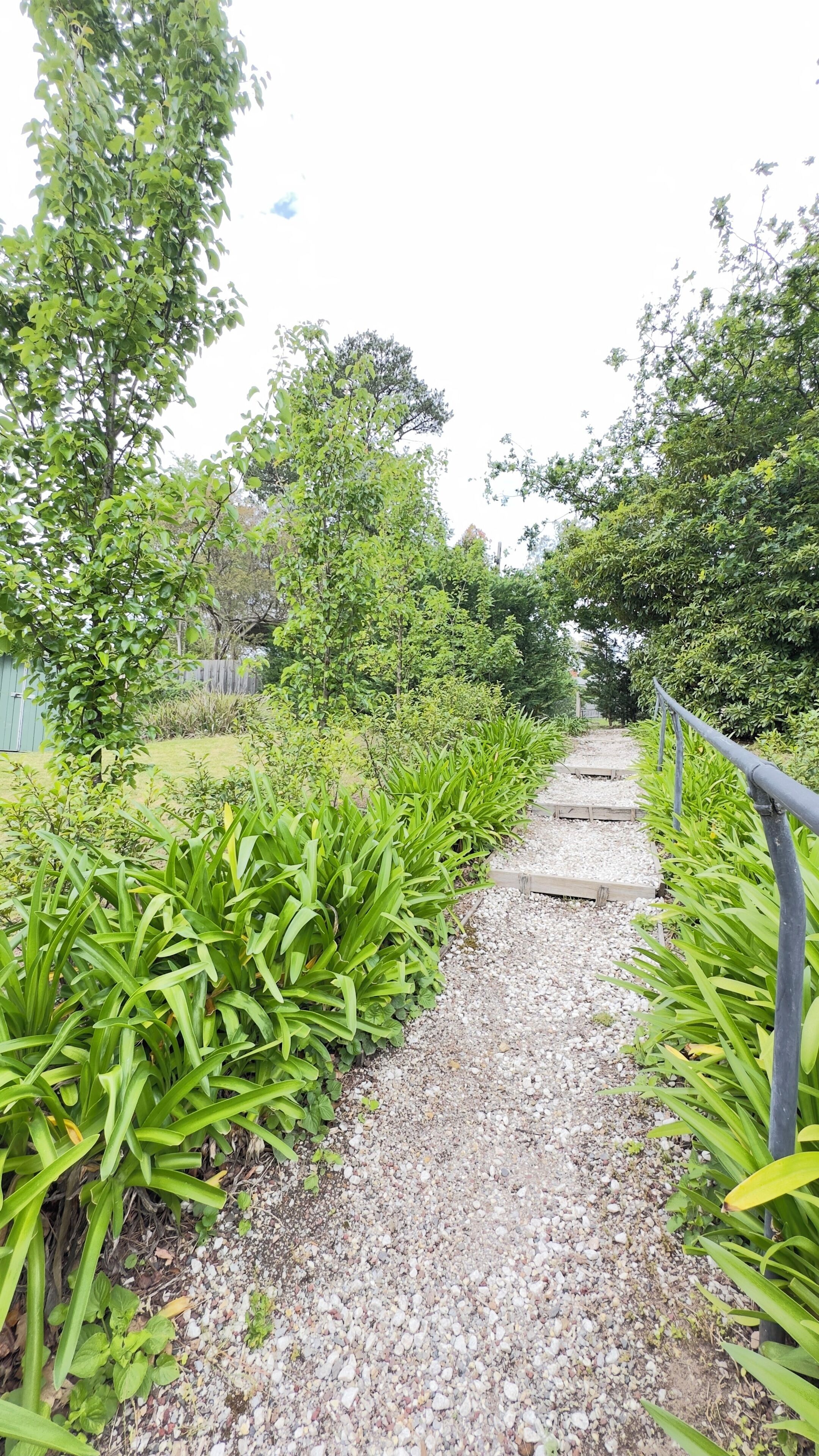 A gravel pathway flanked by lush green plants and trees, leading towards a wooden fence.