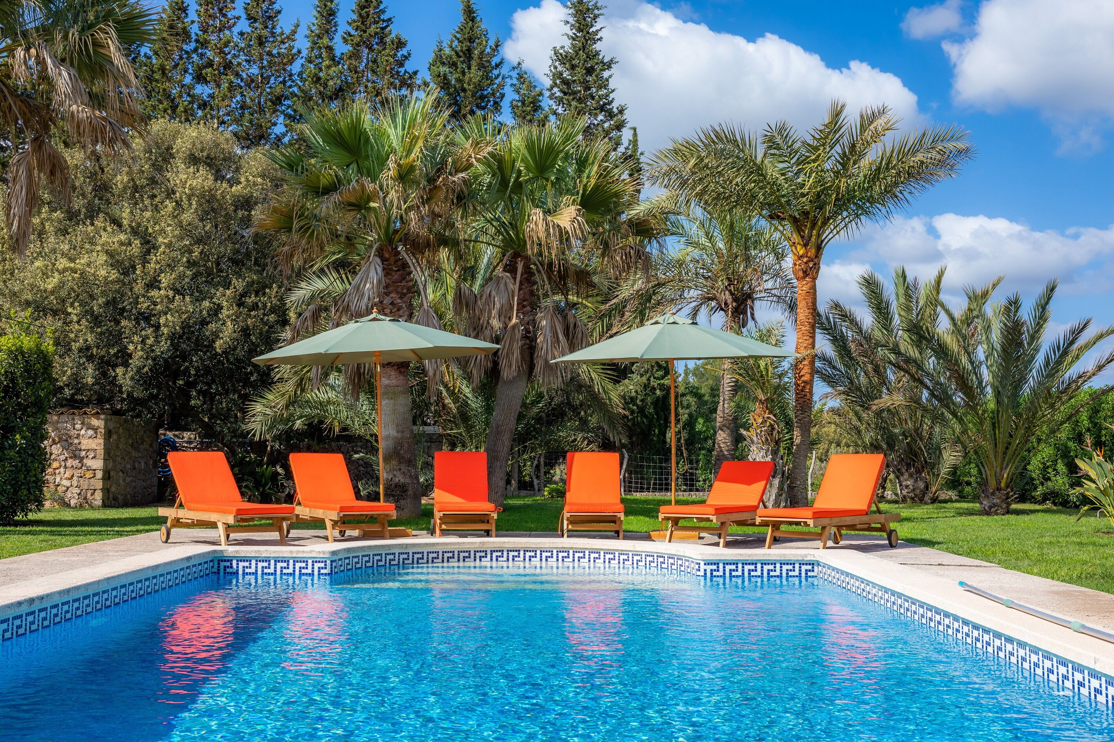A swimming pool with lounge chairs and umbrellas, surrounded by palm trees and greenery.