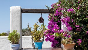 Un balcó amb plantes en testos, un sistema de politi i una paret blanca.