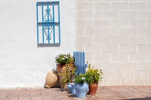 A white wall with a blue window, potted plants, and a brick floor.