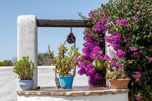 Terrein van de accommodatie