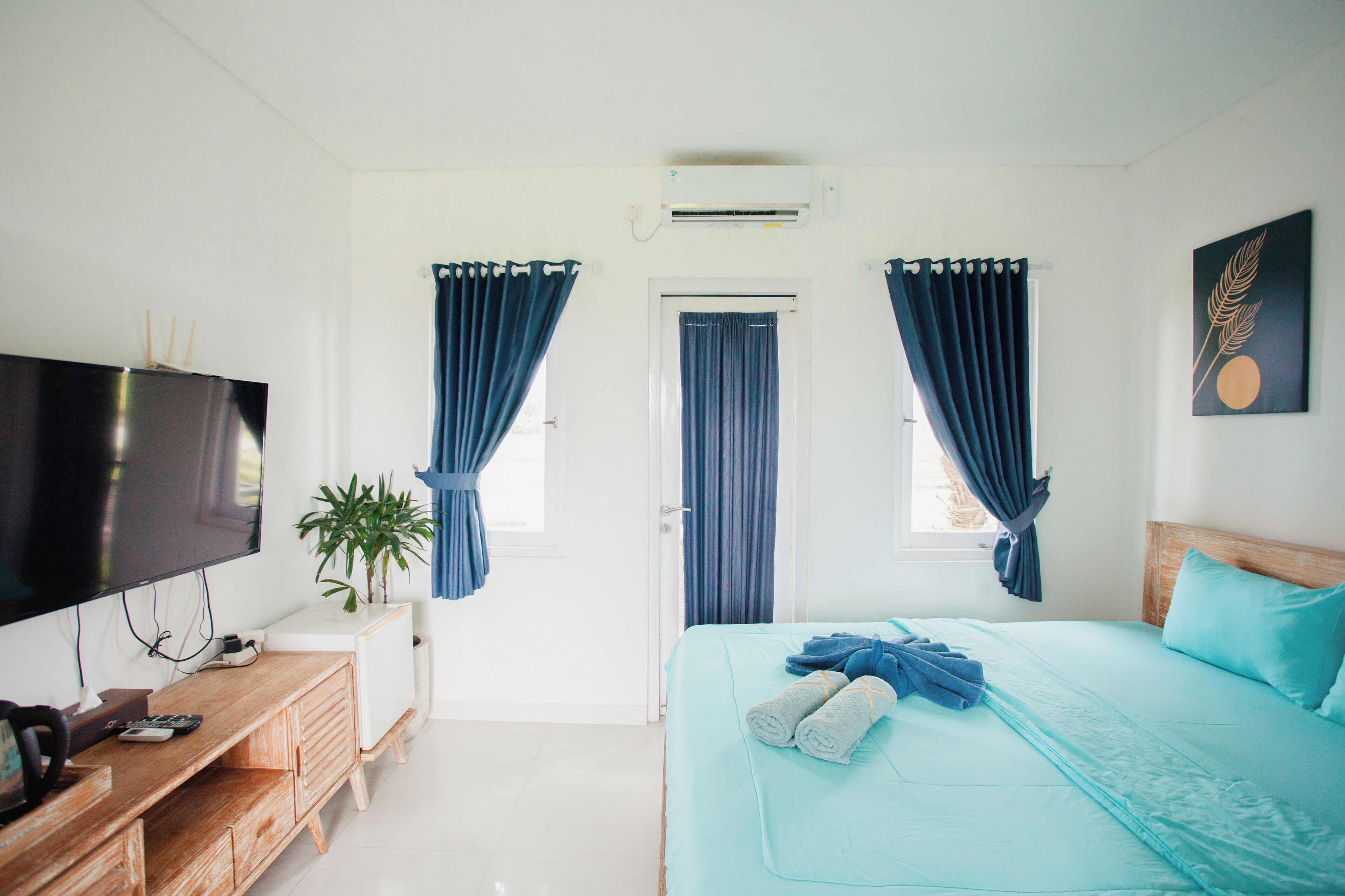 A bedroom with a bed, a TV, a plant, and a door.