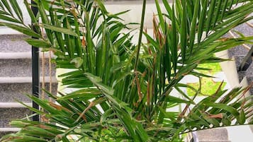 花園