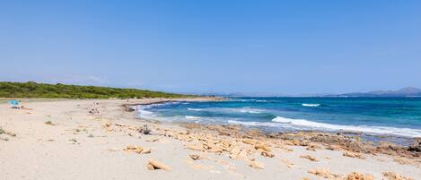 Una playa cerca