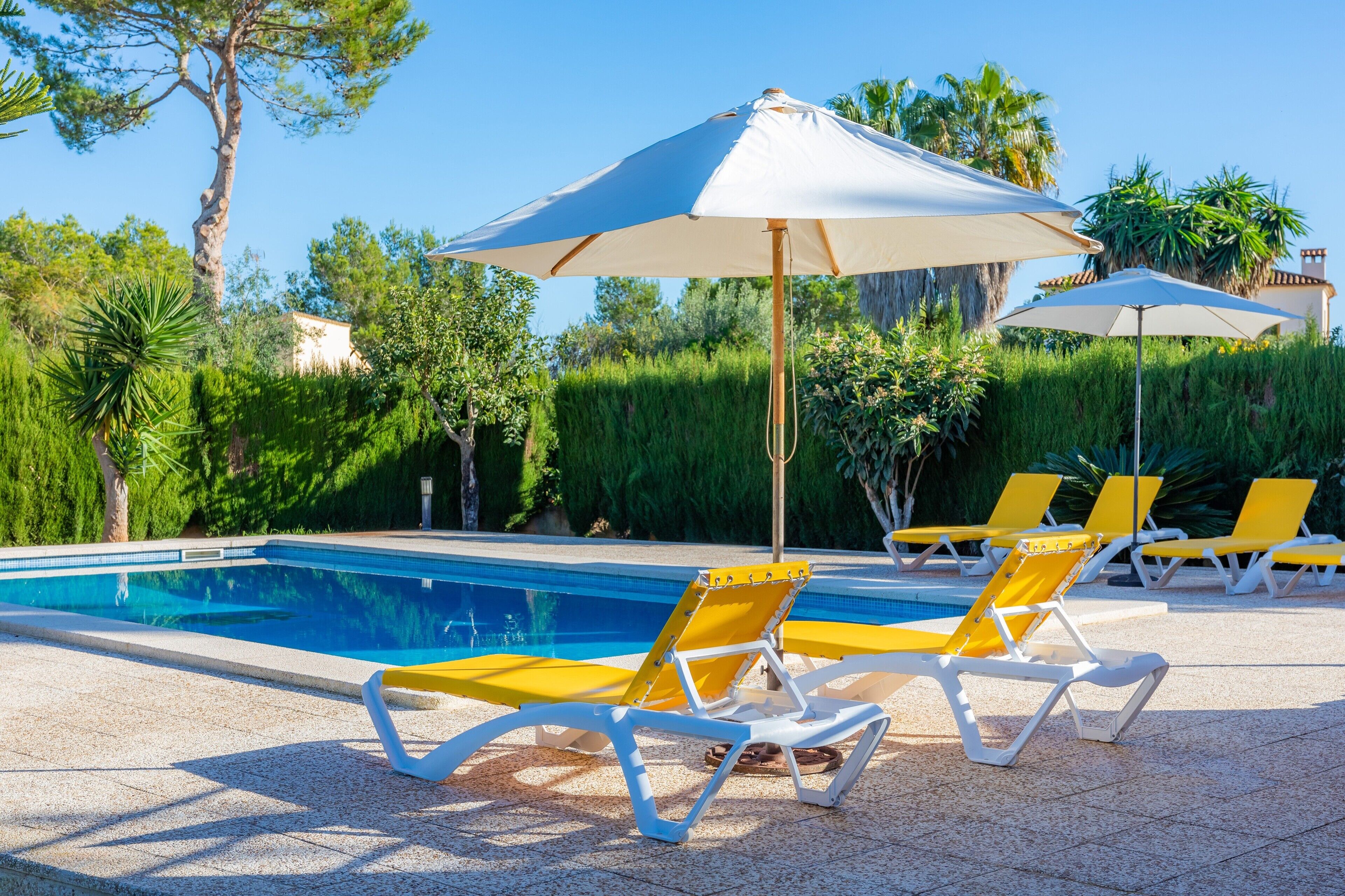 Ein Swimmingpool mit Liegestühlen und Sonnenschirmen, umgeben von viel Grün.