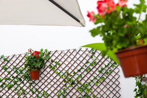 Property grounds - Central Location with Andalusian Patio - Apartment Los Remedios (Vejer de la Frontera)