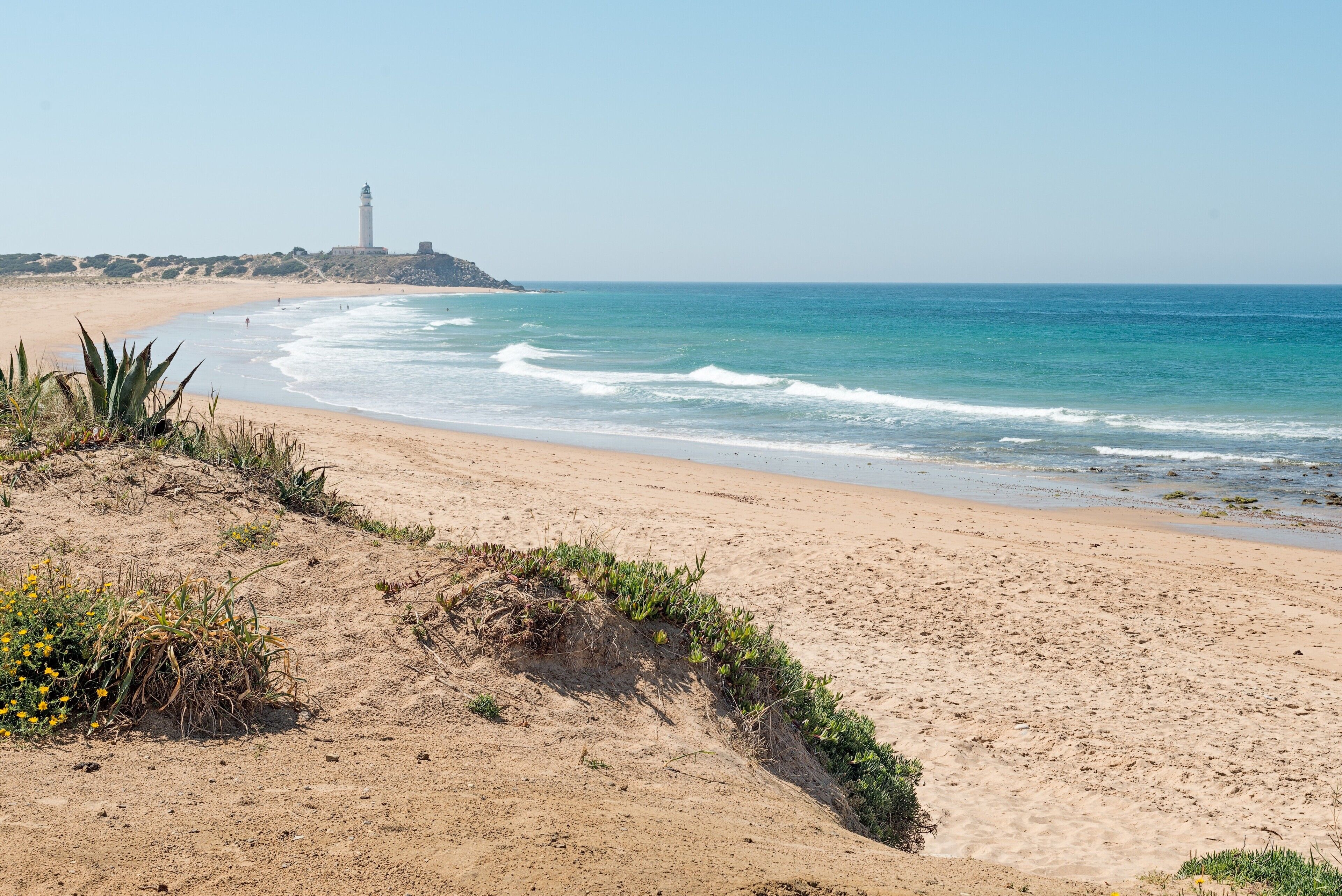 Una spiaggia nelle vicinanze