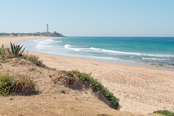 Vlak bij het strand
