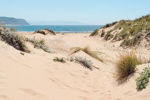 Nära stranden