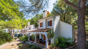 Une maison à deux étages avec un patio, entourée d’arbres et de verdure.