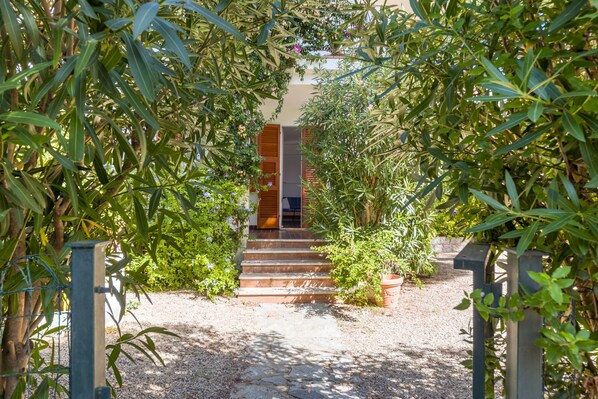 Un sentier menant à une porte en bois, entourée d’une végétation luxuriante et de plantes en pot.