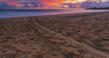 Bundaberg Park Village