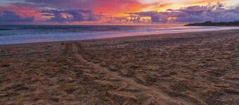 ブンダバーグ パーク ビレッジ