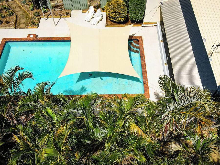 Piscina com borda curva, cercada por palmeiras e uma cerca branca.