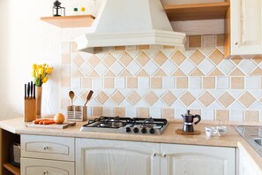 Fridge, microwave, stovetop, electric kettle