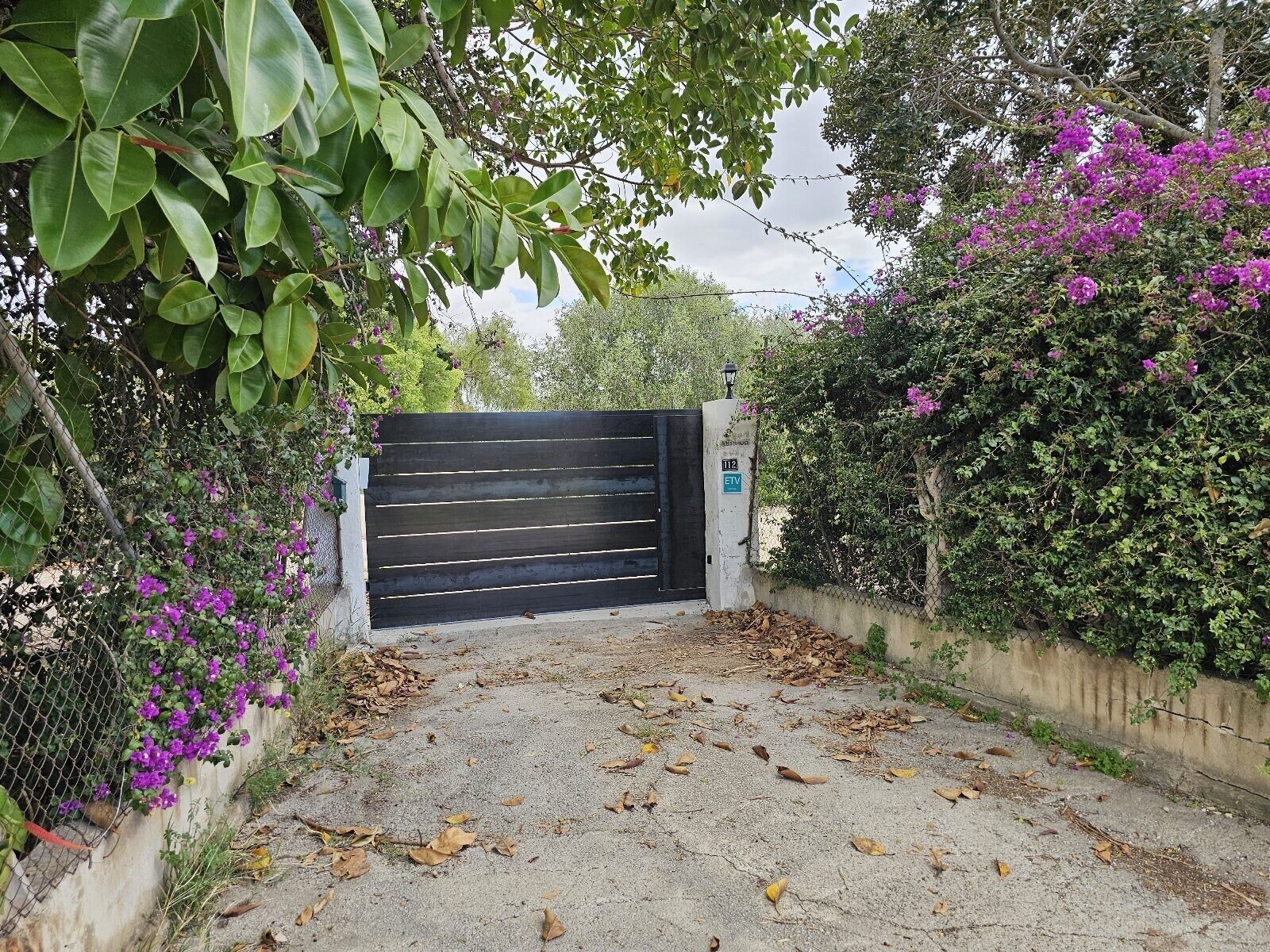 En lukket indgang med en støbt sti, omgivet af vegetation og blomstrende planter.