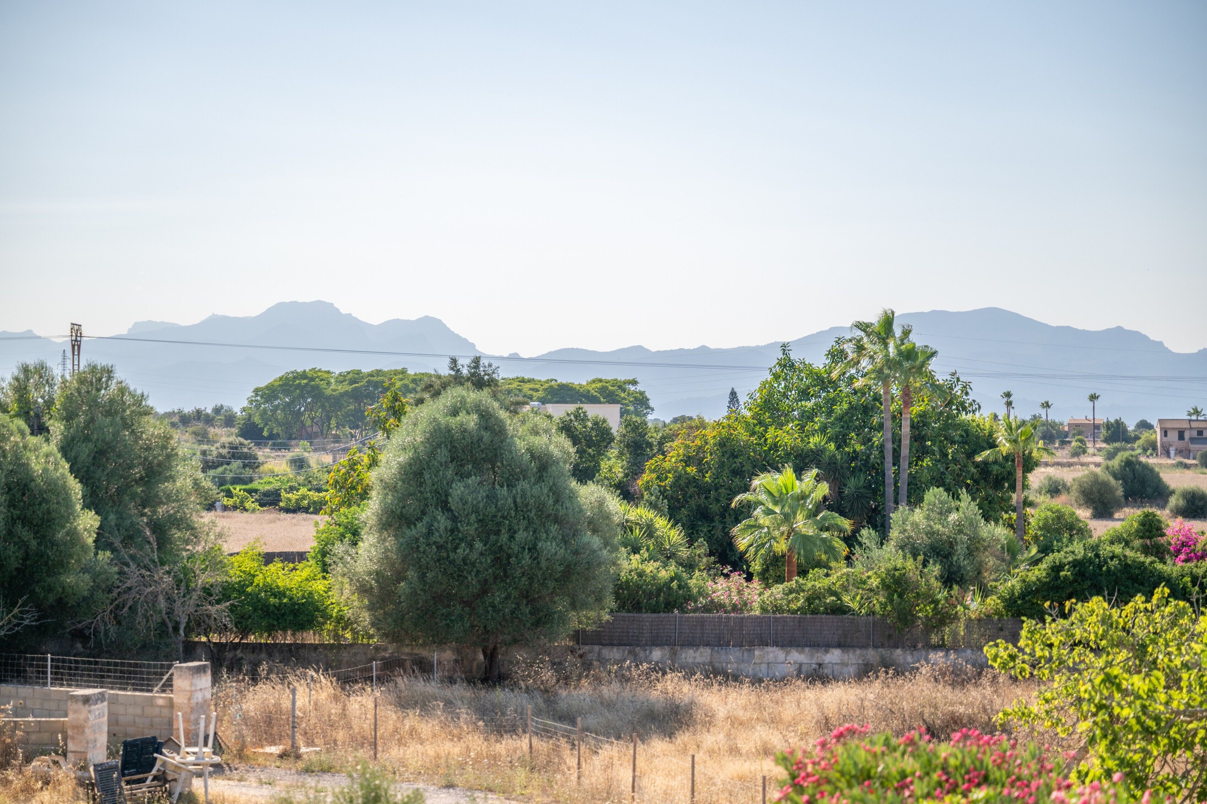 A rural landscape with trees, a fence, and a distant view of mountains.