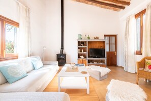 Una televisión, una chimenea