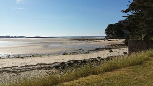 A beach with a stone wall and a tree on the right. - Sea view in Carnac, duplex for 8 (Carnac)