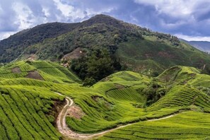 Vistas desde el alojamiento