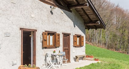 Beautiful Holiday Home “Baita Rustica immersa nel verde” with Mountain View