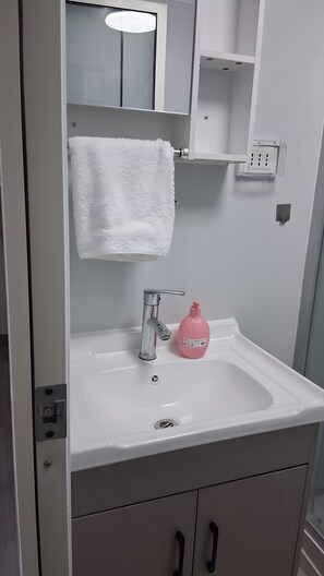 Shower, hair dryer, towels