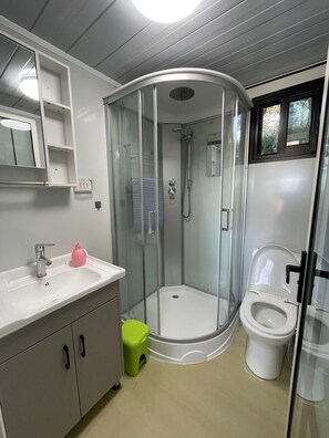 Shower, hair dryer, towels