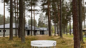 A disc golf basket with chains and a metal pole, surrounded by trees and a building in the background. - Torpomoen (Al)