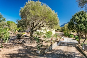 A garden with trees, a pathway, and a building in the background.
