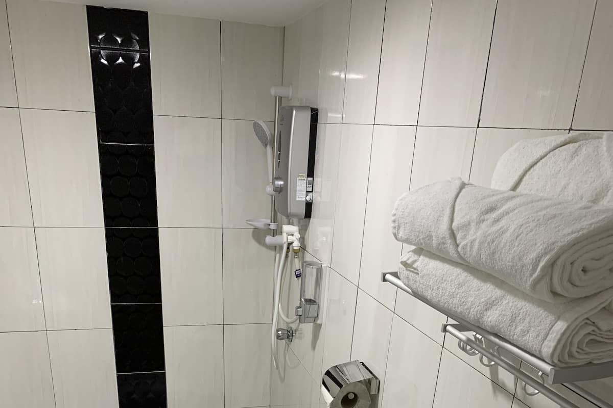 Shower, towels, soap, toilet paper
