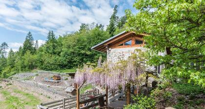 Appartement Maso La Marianna avec vue sur les montagnes, Wi-Fi et jardin.