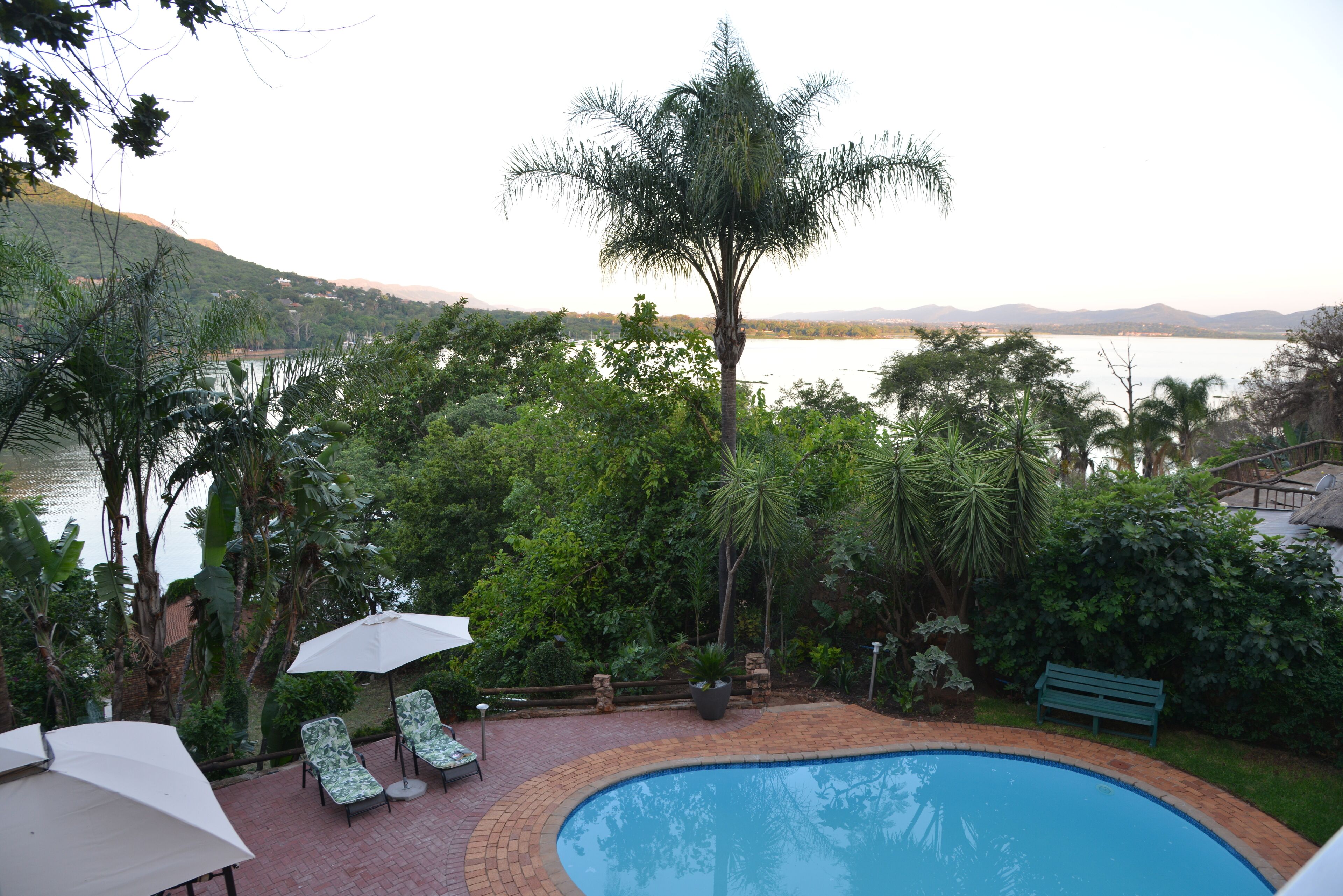 A pool surrounded by lush greenery, a bench, and lounge chairs with umbrellas.