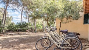 Een fiets geparkeerd voor een gebouw met grind en bomen op de achtergrond.