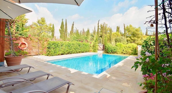 A rectangular swimming pool with a tiled deck, surrounded by lush greenery and tall trees.
