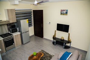 A compact living space with a kitchenette, a sofa, a TV, and decorative items.