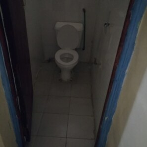 Ducha, toallas, papel higiénico