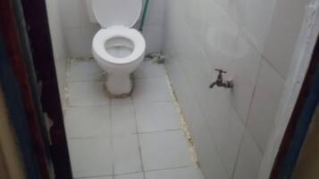 Shower, towels, toilet paper