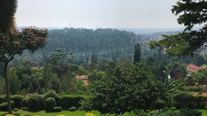 A well-maintained garden with neatly trimmed bushes and a variety of trees. - Choose Kigali (Kigali)
