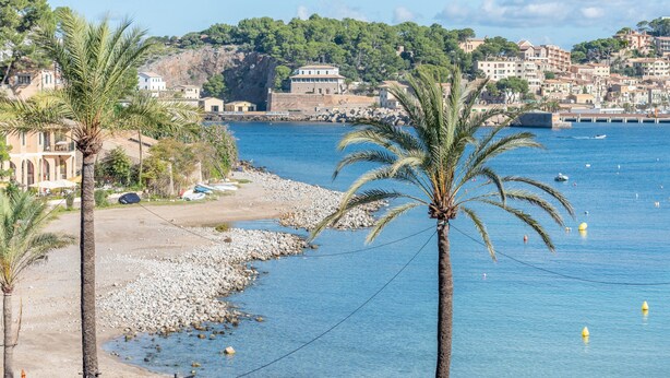 A coastal town with buildings, a beach, and palm trees.