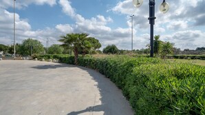 Un camino pavimentado, setos verdes y una farola.