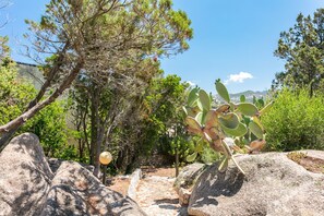 Property grounds - Cottage near the beach with garden and terrace (arzachena)